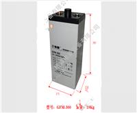 复华蓄电池GFM-300 2V300AH/10HR 技术参数