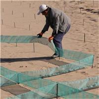 柔性防风阻沙网，绿色尼龙网阻沙障，沙漠公路防护固沙网