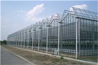 玻璃温室大棚质保20年建设厂家 鲁源温室设计生产各类连栋大棚