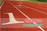 江苏塑胶跑道|EPDM塑胶跑道材料_江苏硅PU篮球场|硅PU厂家|丙烯酸球场