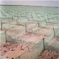 尼龙阻沙墙，挡风阻沙网，高立式防沙阻沙障，固沙网生产批发