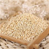广州供应墨西哥奇亚籽，广东厂家批发玻利维亚白藜麦