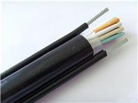 烟台专业订制DDZ-KVVP22低烟无卤屏蔽电缆批发价