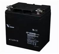 威神蓄电池CP12280 12V28AH免维护VISION电池