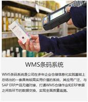 济南SAP医疗器械ERP管理系统 华智WMS条码仓储软件