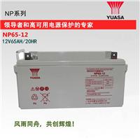 汤浅蓄电池NP65-12 汤浅电池12V65AH 免维护
