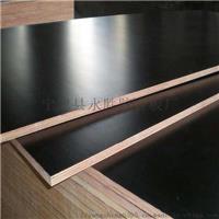 沧县胶合板红模板|生产批零高硬度建筑模板清水模板