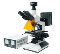 供应 正置荧光显微镜DFM-40C
