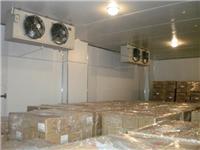 合肥医药冷库设计安装-合肥皖雪制冷设备