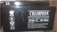 冠军UPS蓄电池12V24AH冠军电池