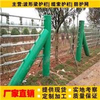 广西钢绳缆索护栏供应厂家的价格咨询四川龙盾