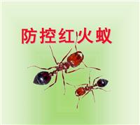 桂林赫鼎鸿灭鼠控虫公司灭白蚁、灭红火蚁、灭鼠