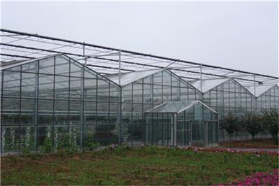 连栋玻璃温室工程建造 异形玻璃温室 文络玻璃温室造价咨询