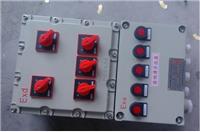 防腐防水防尘照明动力配电箱厂家生产 BXMD防爆仪表箱