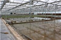 pc板智能连栋温室定制厂家 玻璃温室建造结构及价格