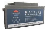 赛力特蓄电池MF12-65 12V65AH/20HR-价格/参数