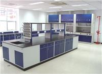 泉州石狮实验室家具 *台 边台 通风柜 生物安全柜 天平台