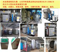 青岛10g/h-150kg/h污水处理臭氧发生器厂家