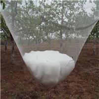 云南大棚防雹网防虫网，果园防护冰雹网，果园防护冰雹网