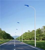 30瓦LED6米市电路灯/道路照明灯具/保定路灯厂家价格
