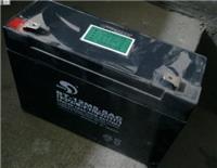 泉州赛特蓄电池BT-HSE-100-12/12V-100AH产品简介