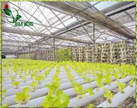 安顺无土栽培蔬菜设备促销 河北安平汉明育苗设备厂