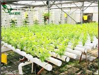 阿里无土栽培蔬菜设备价格 河北安平汉明育苗设备厂