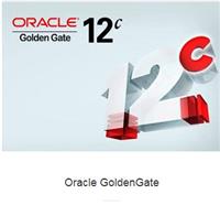 Oracle 标准版2CPU数据库