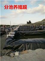 黑龙江700g水渠复合土工膜生产厂家欢迎您