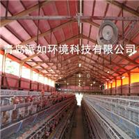 青岛派如公司供应规划设计建设大型环保节能鸡舍全自动化鸡场