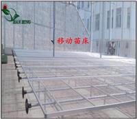 北京温室活动苗床厂 河北安平汉明育苗设备厂