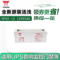 全国供应汤浅NP65-12 12v65ah UPS免维护蓄电池