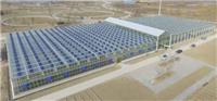 安徽太阳能温室安装找哪家
