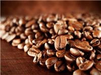 宁波港咖啡代理进口报关哪家专业