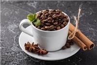 宁波代理咖啡进口外贸货代公司