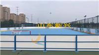 轮滑球场围栏 标准聚乙烯围栏 可定制冰球场围栏工厂