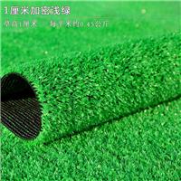 人造草坪仿真草坪塑料假绿植幼儿园人工草皮户外装饰绿色地毯垫子