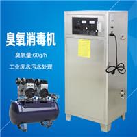 广州佳环臭氧 60克氧气源臭氧发生器YT-017-60A