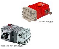 供应美国GIANT 316不锈钢高压泵P420A-5100 P220-5100
