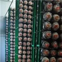 浸塑平菇养殖网片 厂家定制香菇网格网架 灵芝培养架