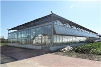 草莓智能玻璃温室栽培基地建设 玻璃温室的用途及价格