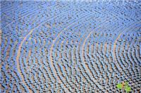 2020上海太阳能照明展 2020SNEC光伏与储能展 韩国氢能展