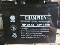 现货供应冠军蓄电池NP38-12规格尺寸12V38AH图片