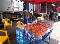 广州江南水果批发市场代卖