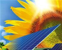 2020上海光伏储能展 2020太阳能照明展 比利时光伏+储