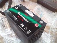 原装进口GNB蓄电池S512/40 质量可靠 价格优惠