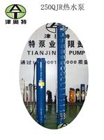 250QJ深井潜水泵_大流量高扬程_井水提取