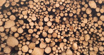 原木/木材料进口报关归类及税率，原木/木材一般贸易用客户资质申报条件，原木/木材进口报关清关费用