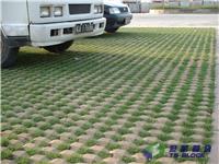 河北钦芃生产销售草坪砖厂家