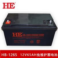 HE 12V65AH蓄电池12V65A电瓶20HR铅酸免维护UPS太阳能直流屏电池